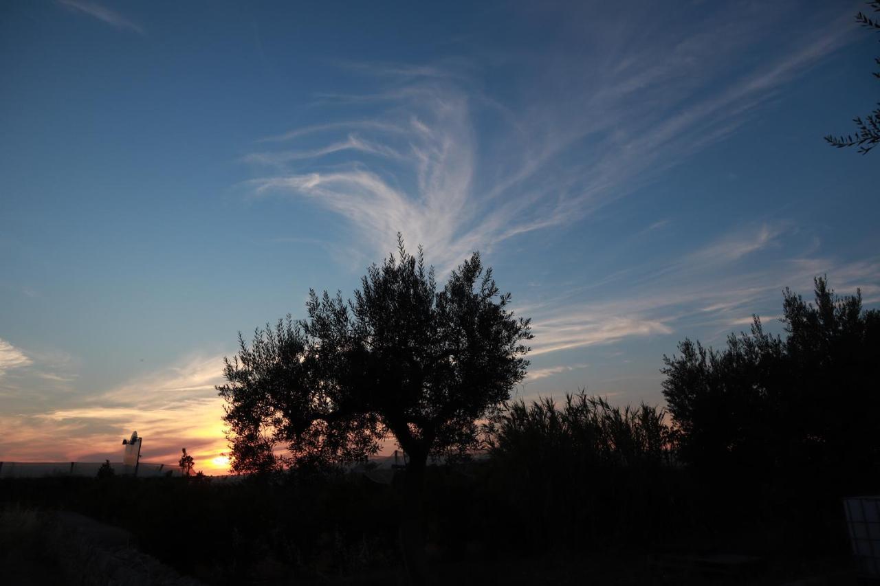 Agriturismo Masseria Alberotanza Conversano Dış mekan fotoğraf